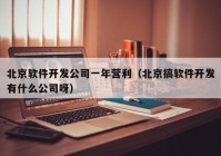北京软件开发公司一年营利（北京搞软件开发有什么公司呀）