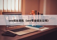 seo优化团队（seo专业优化公司）